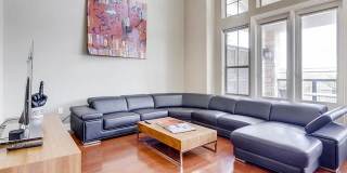 4189 Texas Elm Gallery 3