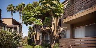 Elán Avante Apartment Homes Gallery 5