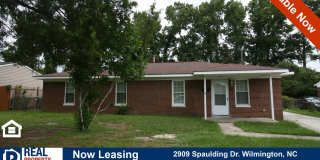 Freshly Updated 4 BD/1.5 BA with LVP Flooring, Fenced Back Yard and Storage Shed Freshly Updated 4 BD/1.5 BA with LVP Flooring, Fenced Back Yard and Storage Shed Gallery 1