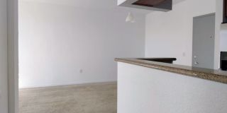 Modern 1BR/1BA Condo with Stainless Steel Appliances – Downtown Miami Gallery 22