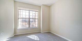 Aven at Newton Highlands Gallery 21