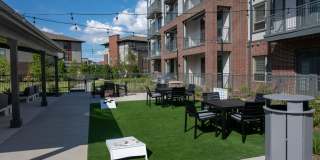 Paloma Village Gallery 26