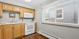 Beautiful Denver Condo Gallery 5