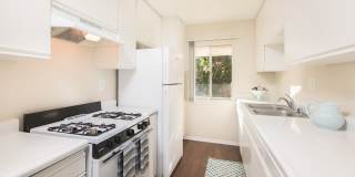 Tarzana Terraces Gallery 8