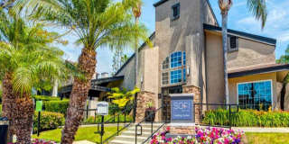 Sofi Laguna Hills Gallery 2