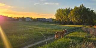 3BR/2.5BA Englewood House, Cherry Creek Schools & Park Access Gallery 36