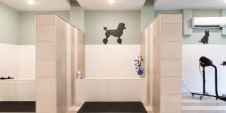 Providence Row Providence Row Gallery 9