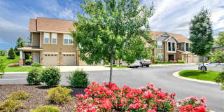 Riverstone Gallery 46