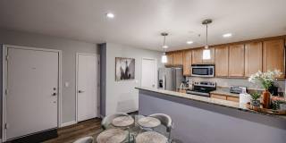 4704 E Paradise Village Parkway Gallery 10