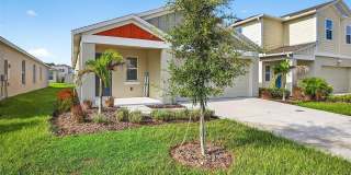 7782 PEACE LILY Gallery 1