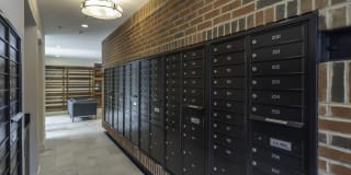 Arcade Sunshine Gallery 15