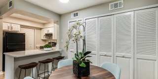 Cadia on the Loop Gallery 5