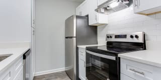 Wood Terrace Gallery 20