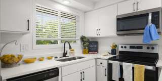 Chalet Apartments Gallery 16