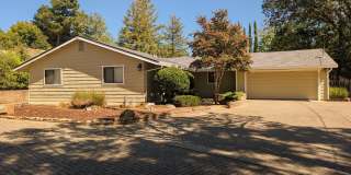 Gorgeous Yard / Well Established Neighborhood Gallery 1