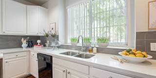 Palazzo Townhomes Gallery 2