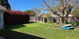 Charming 3BD/2BA Home in Quiet Cul-De-Sac with Solar & Included Landscaping Gallery 5