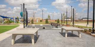 Eden at Sunterra Gallery 41