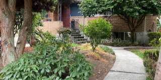 Spacious 1BR + Bonus Room | 1,200 SF | Yard & Patio | Dog Friendly Spacious 1BR + Bonus Room | 1,200 SF | Yard & Patio | Dog Friendly Gallery 1