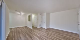 Phoenix View Gallery 9