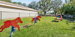 Vista Lake Ned Gallery 61