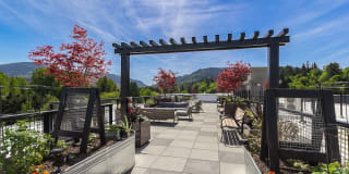 Vale Apartments Gallery 13