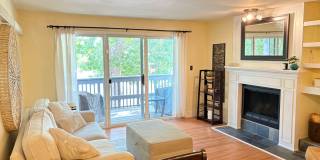 Fully Furnished Updated Turn-Key 2 Bed 1 Bath Condo Off Bike-Path & Next to Park. Gallery 1