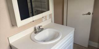 1/1 Lakefront Living in Carrollwood! Available July 10th! Gallery 10