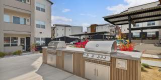 Elysium Reno Gallery 20