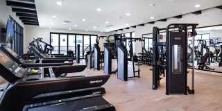 Luma at El Corazon Gallery 26