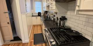 87 Browne St Gallery 13