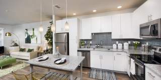 Maitland City Centre Gallery 1