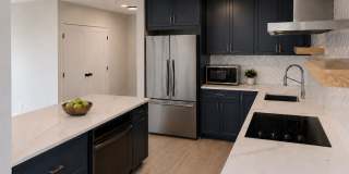 Newly Remodeled 1 bedroom / 1.5 bath Condo at Place One Gallery 7