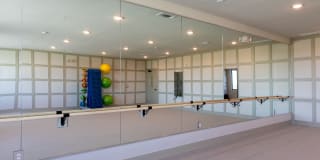 Cavalli at Iron Horse Station Gallery 14