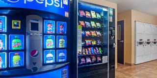 Palm Springs - Airport Gallery 23