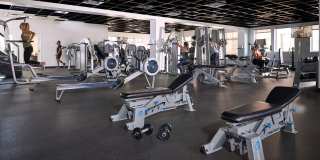 Modern 1 BDR in Peloton - Ground Floor - Full Accessible Gallery 6