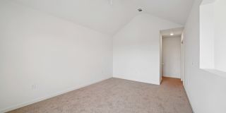 Colina Hillside Gallery 92