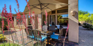 6951 E HIBISCUS Way Gallery 50