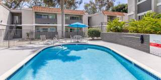 Ocean Vista Gallery 1