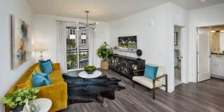 The Statesman Gallery 4