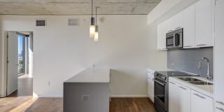 The Apartment Residences at AKA Gallery 5