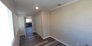 811 Orchid Court Gallery 17