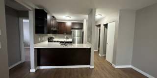 Montlake Villas Gallery 32