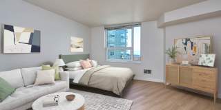 Olympus Gallery 27