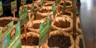 The Residences at Sandy Farms Gallery 41