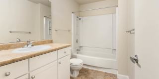 Lantern Cove Gallery 20