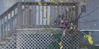 2099 Old Mcdade Road Gallery 1