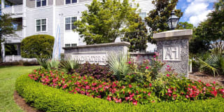 Headwaters at Autumn Hall Gallery 44