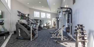 The Arboretum Gallery 17