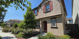3805 Amelia Rose Way Gallery 1